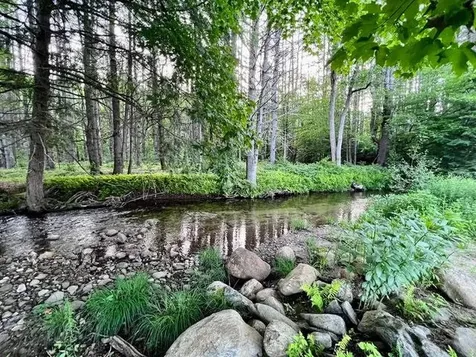 793 Grassy Brook Road Brookline VT 05345