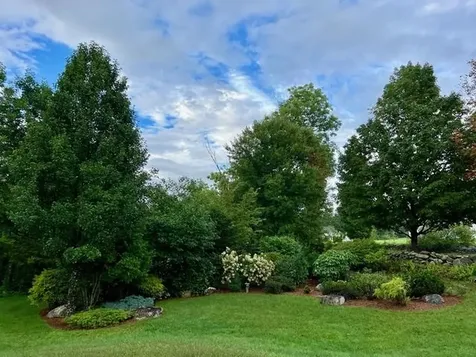 793 Grassy Brook Road Brookline VT 05345
