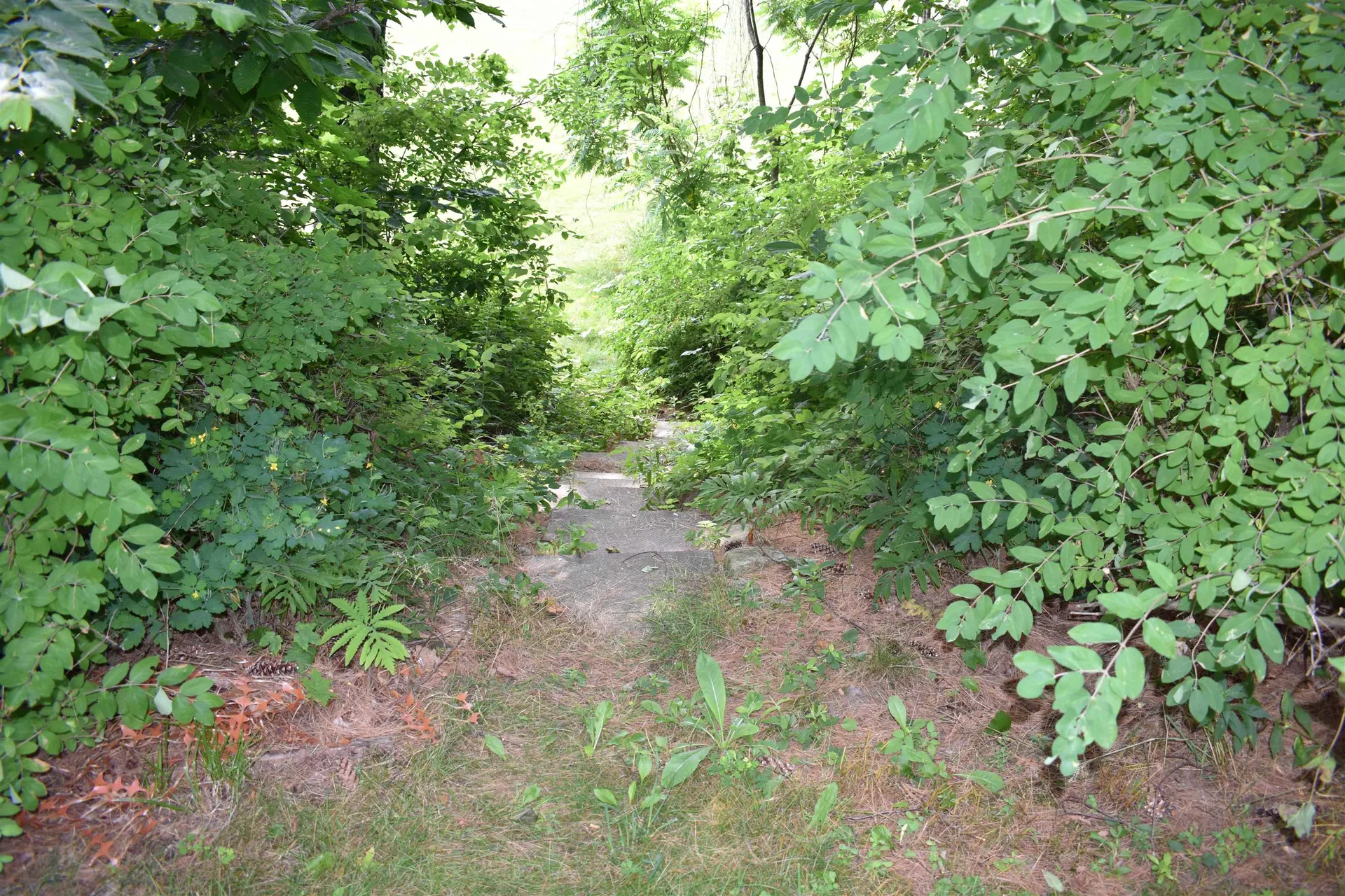 21 Marsten Lane Enfield NH 03748
