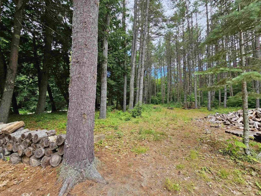 2900 Route 121 East Grafton VT 05146