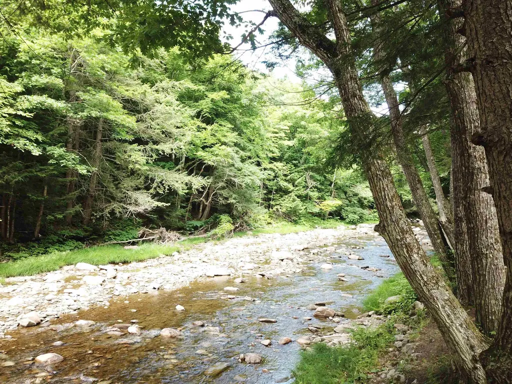 2900 Route 121 East Grafton VT 05146