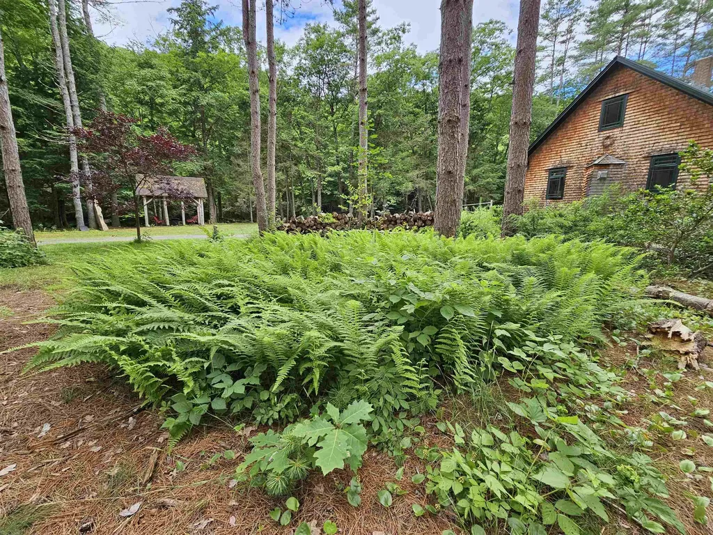 2900 Route 121 East Grafton VT 05146