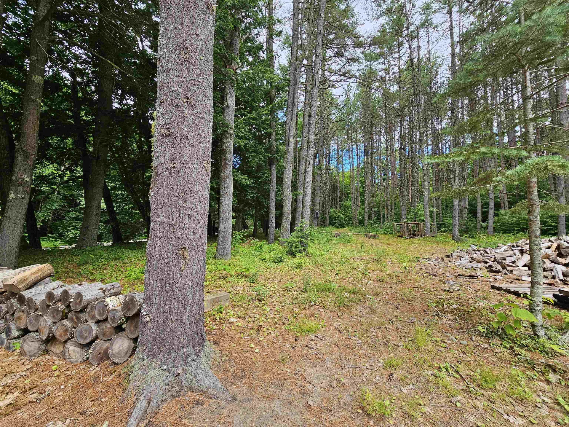2900 Route 121 East Grafton VT 05146