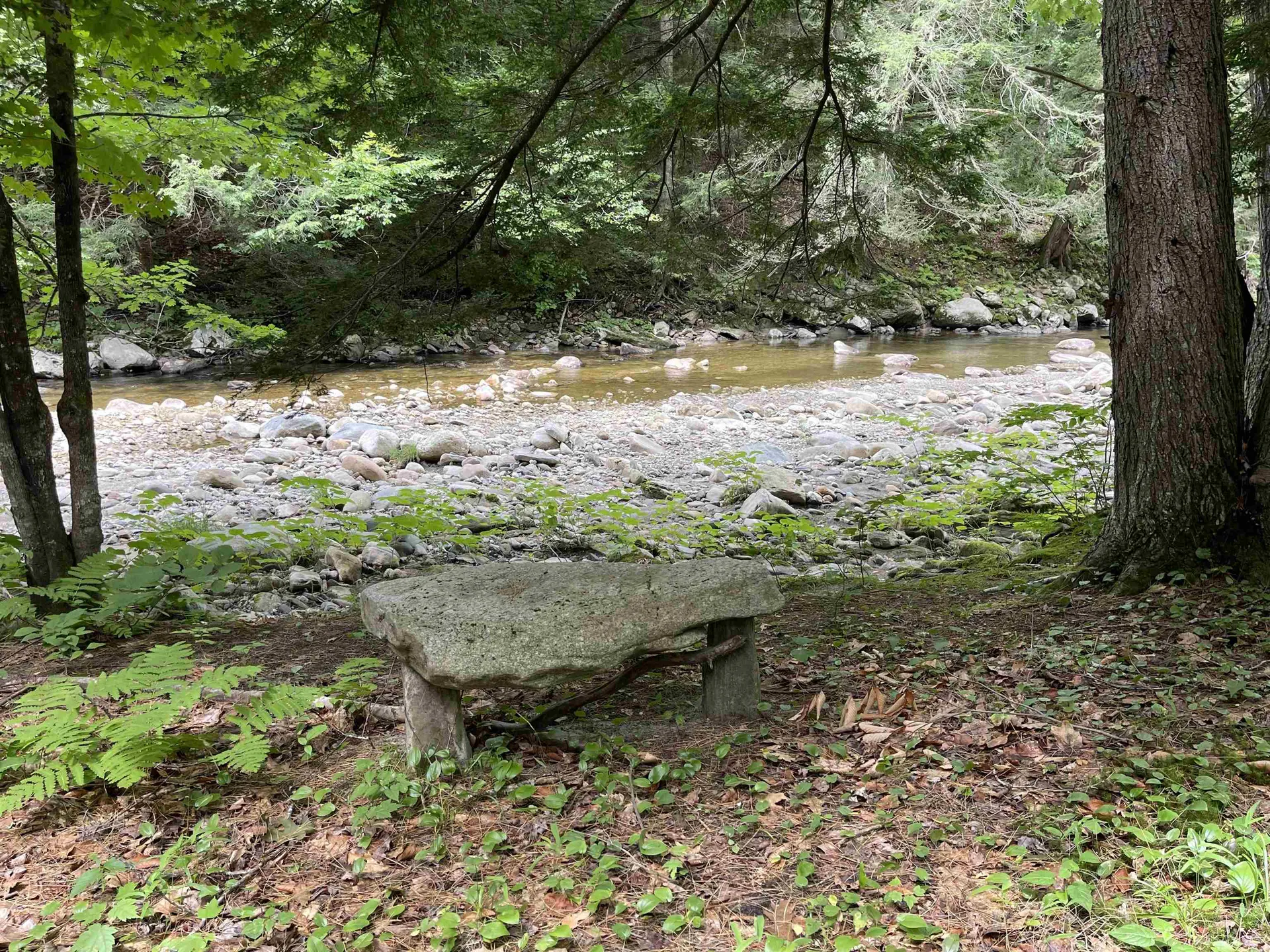 2900 Route 121 East Grafton VT 05146