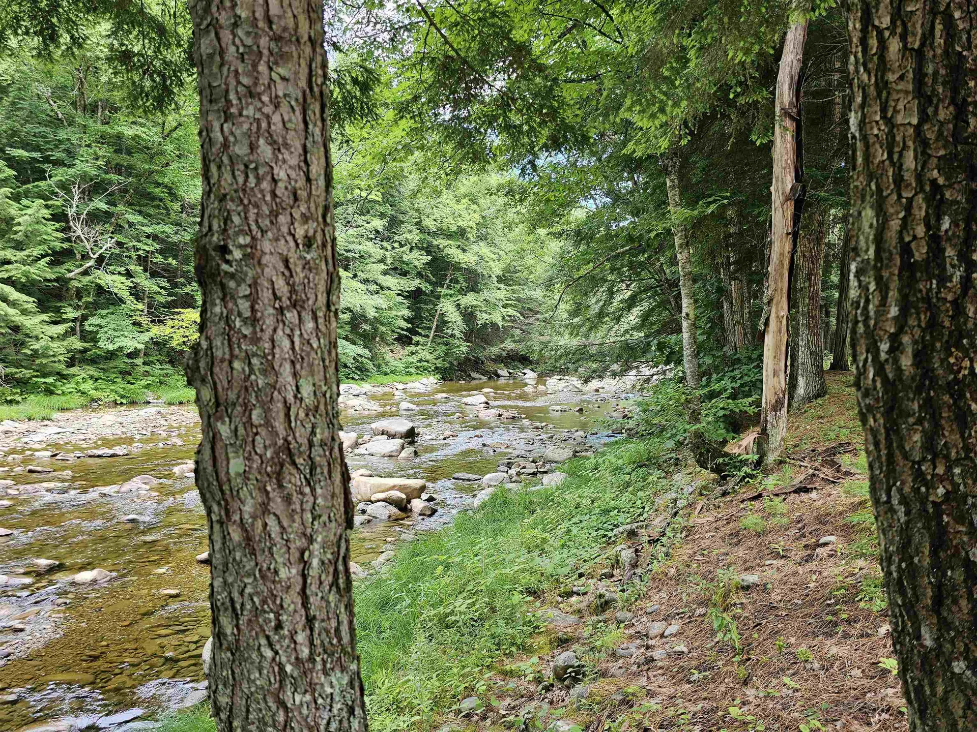 2900 Route 121 East Grafton VT 05146