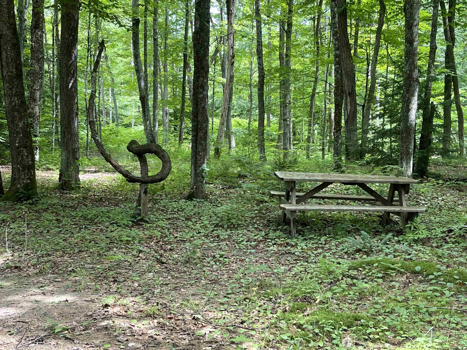 2900 Route 121 East Grafton VT 05146