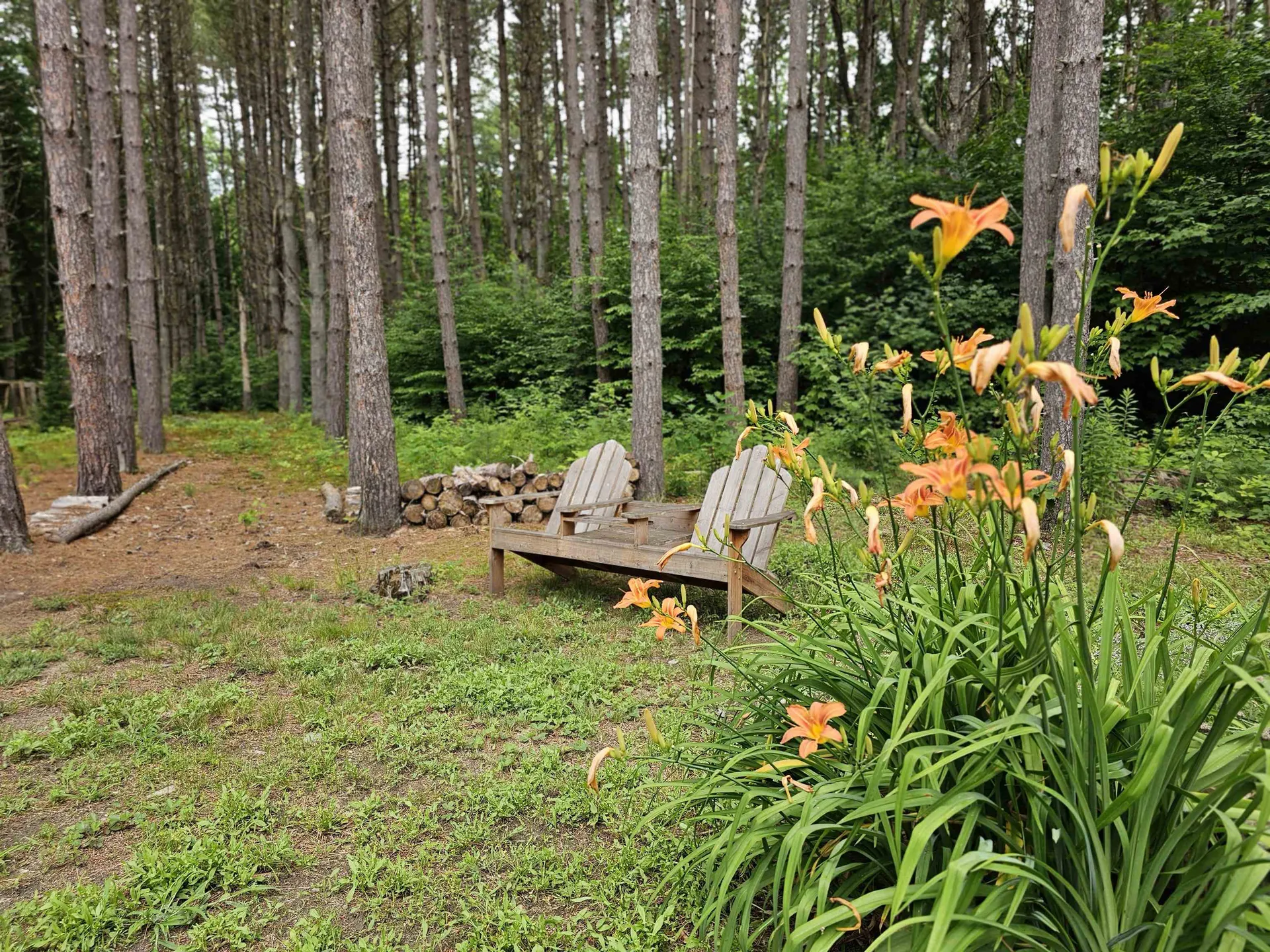 2900 Route 121 East Grafton VT 05146