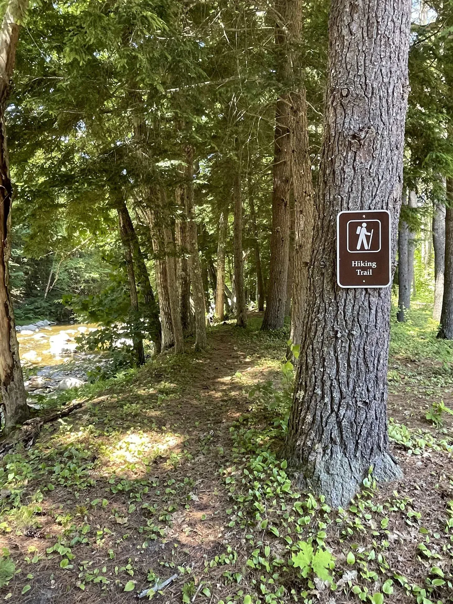 2900 Route 121 East Grafton VT 05146