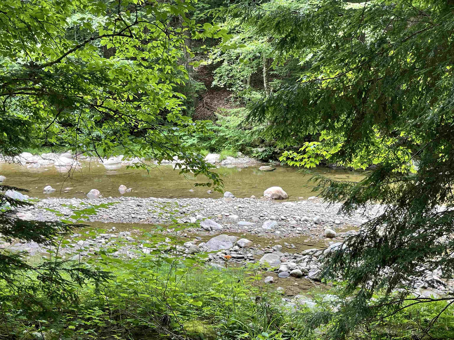 2900 Route 121 East Grafton VT 05146