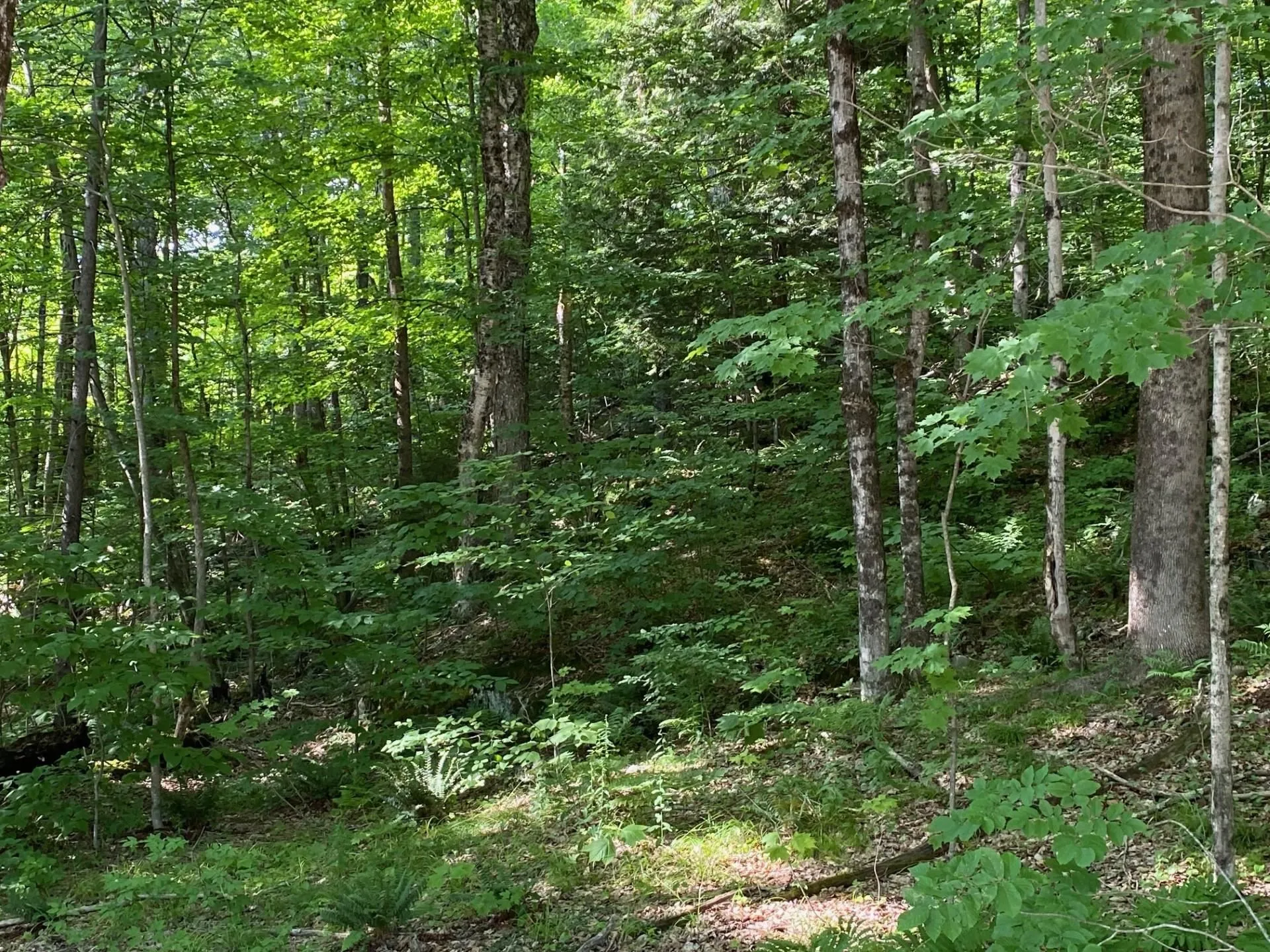 Lot 07-76 Winding Way Killington VT 05751