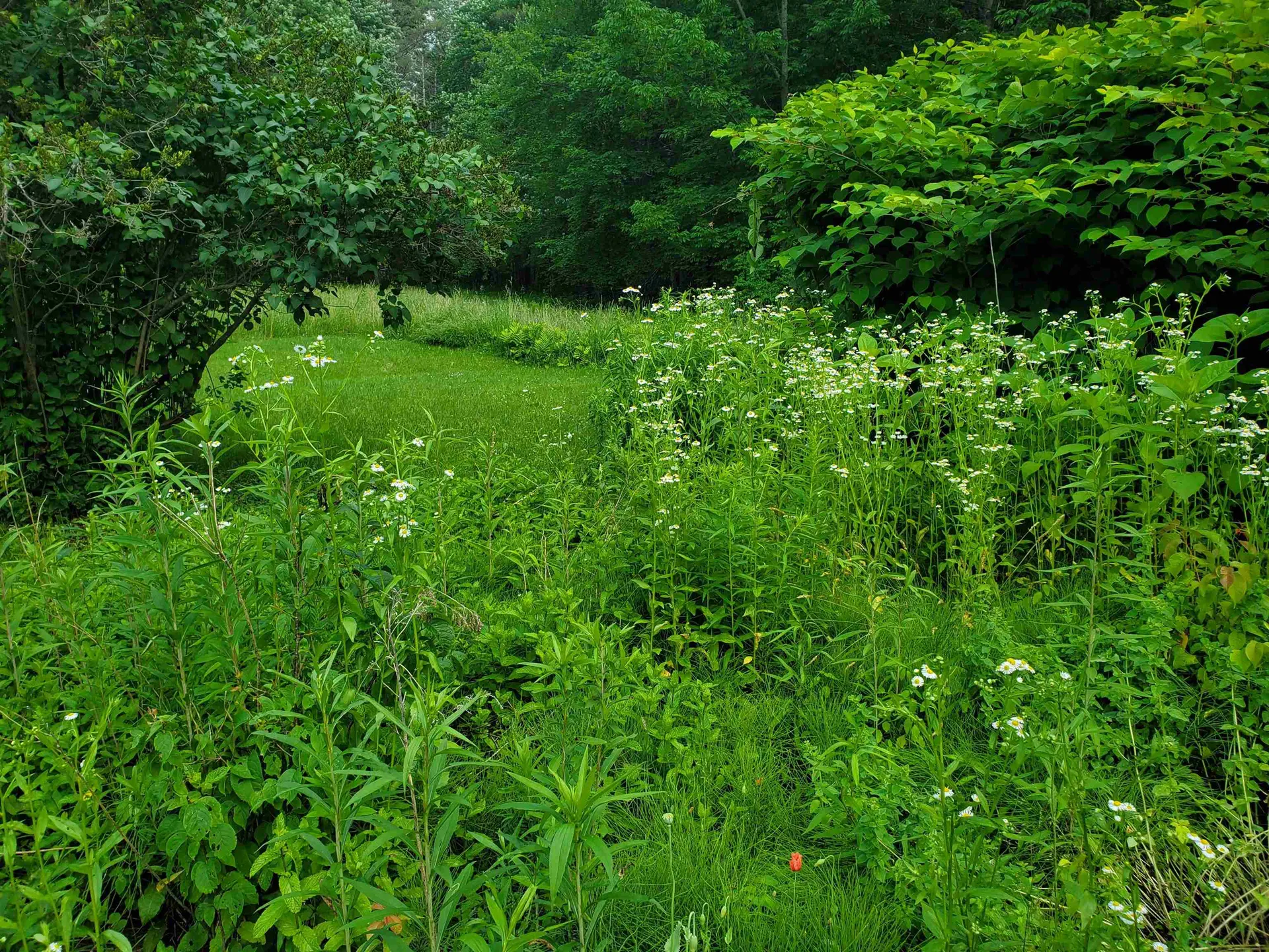 529 Lockehaven Road Enfield NH 03748