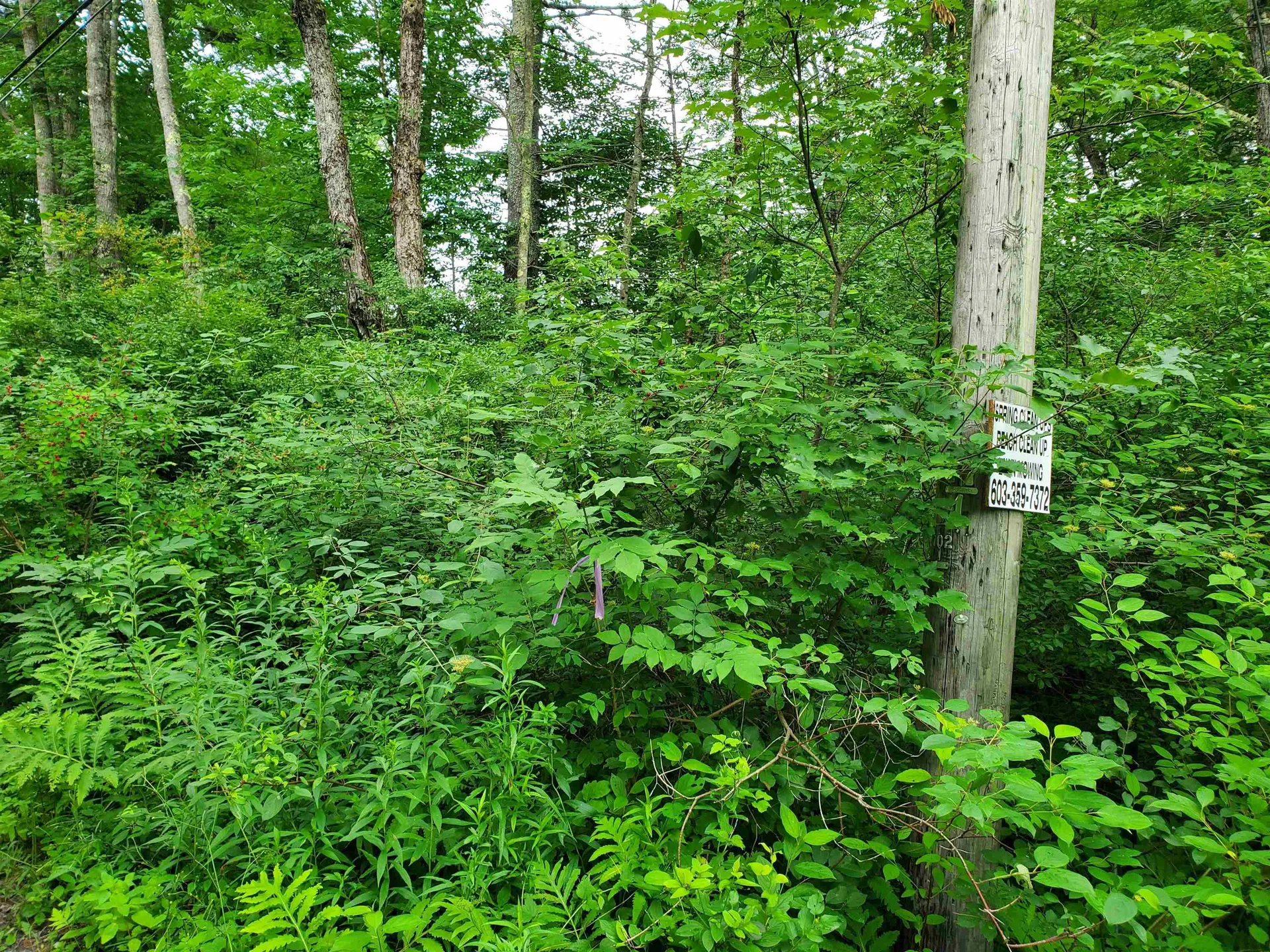 529 Lockehaven Road Enfield NH 03748