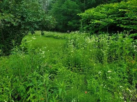 529 Lockehaven Road Enfield NH 03748