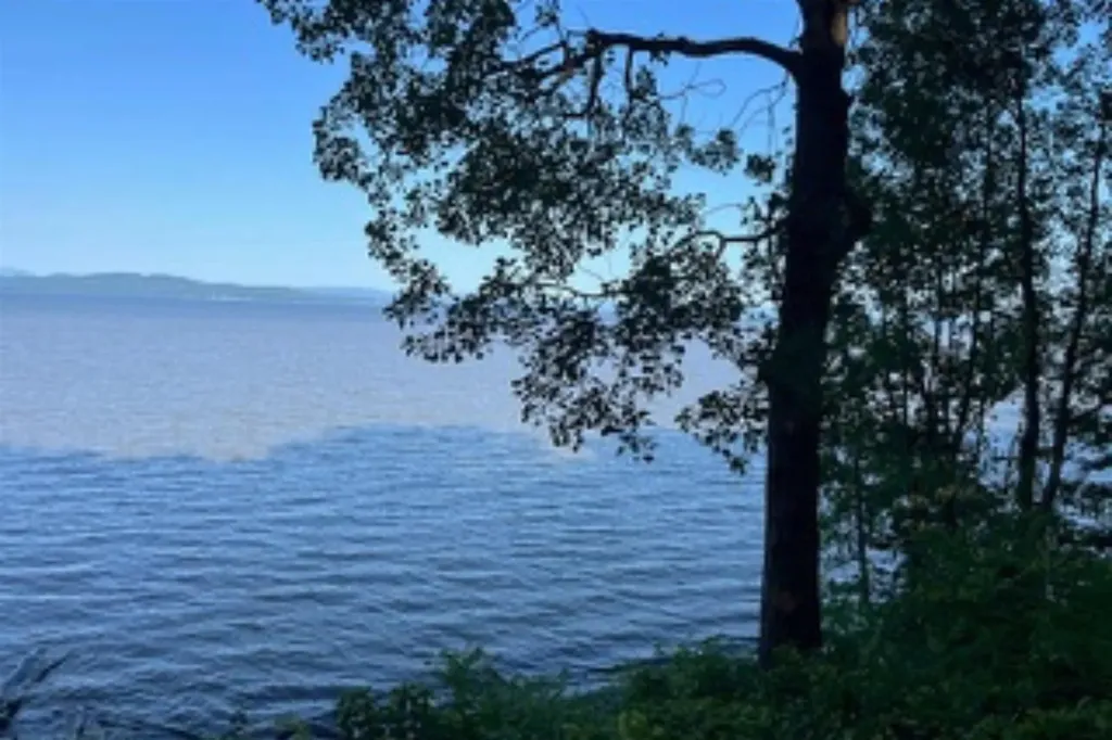 83 Claire Point Road Burlington VT 05408