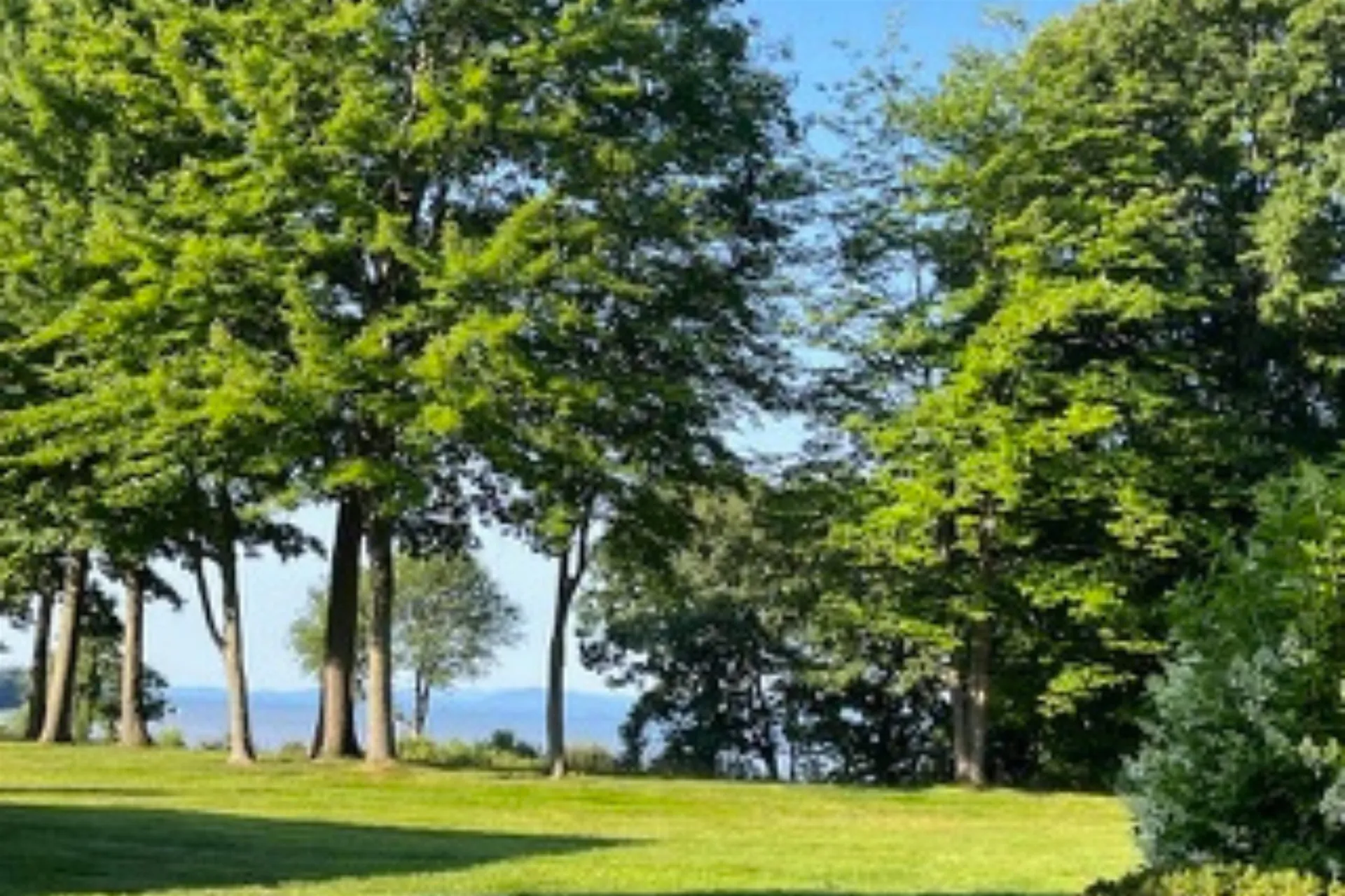 83 Claire Point Road Burlington VT 05408
