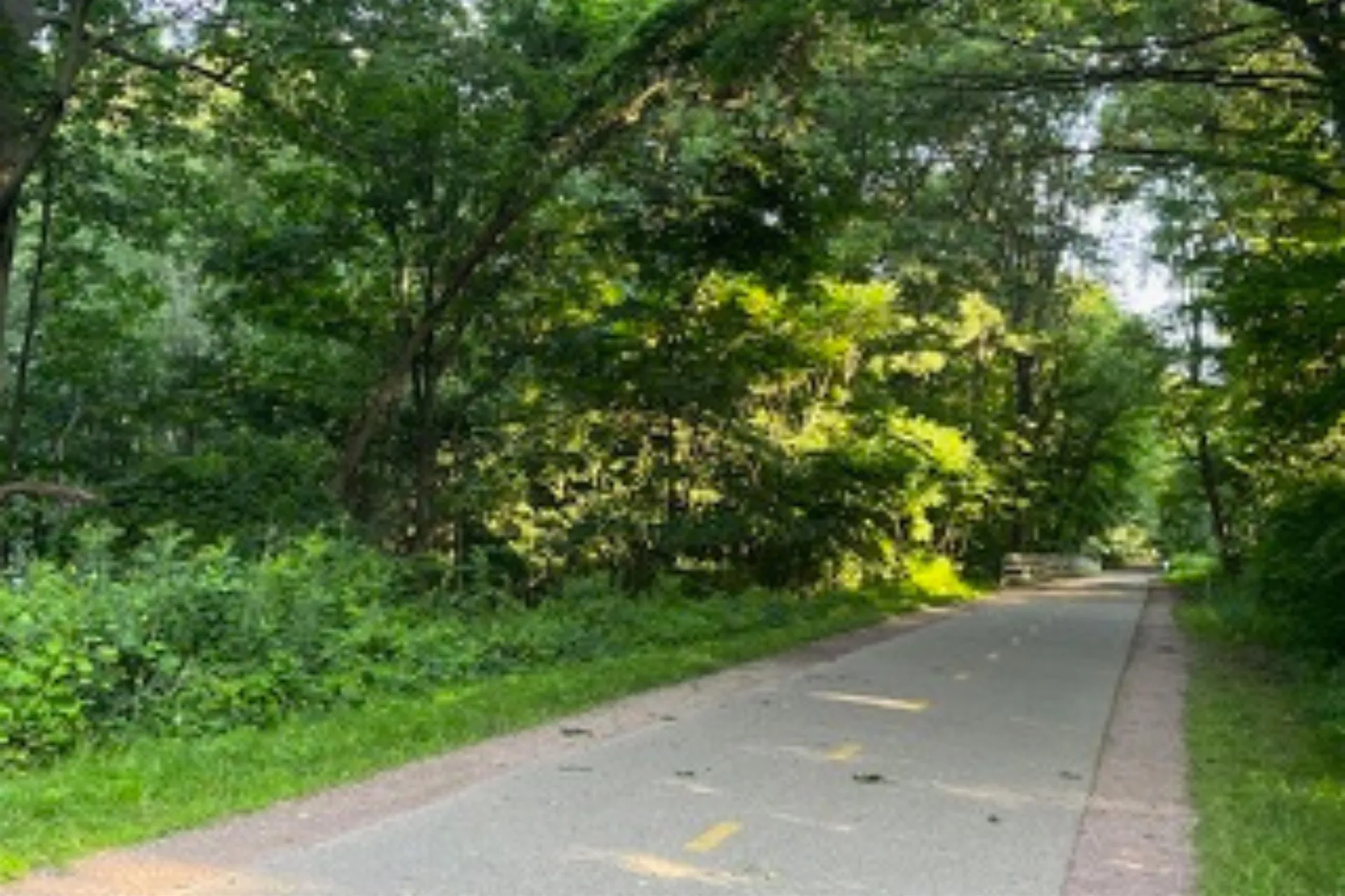 83 Claire Point Road Burlington VT 05408