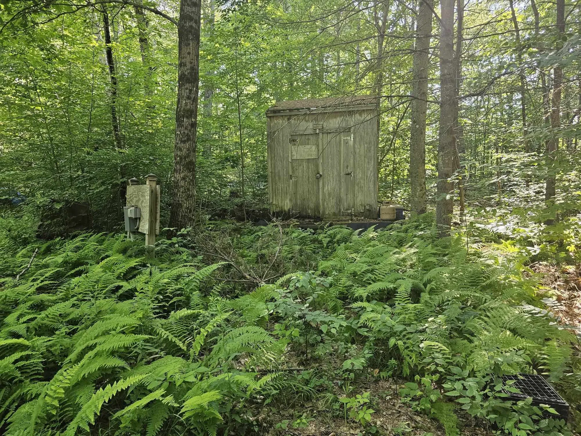 319 W. Lake Road Fitzwilliam NH 03447
