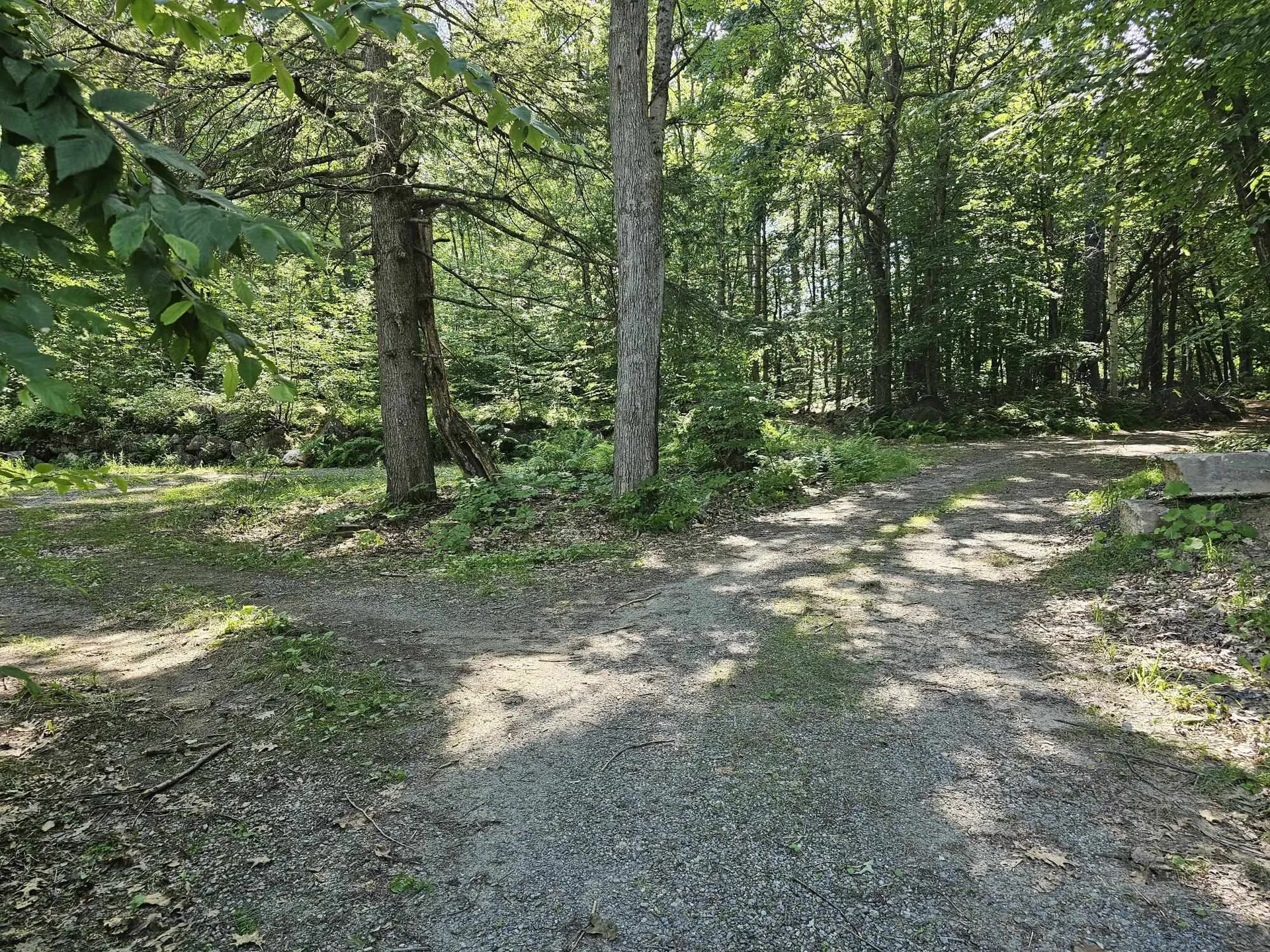319 W. Lake Road Fitzwilliam NH 03447