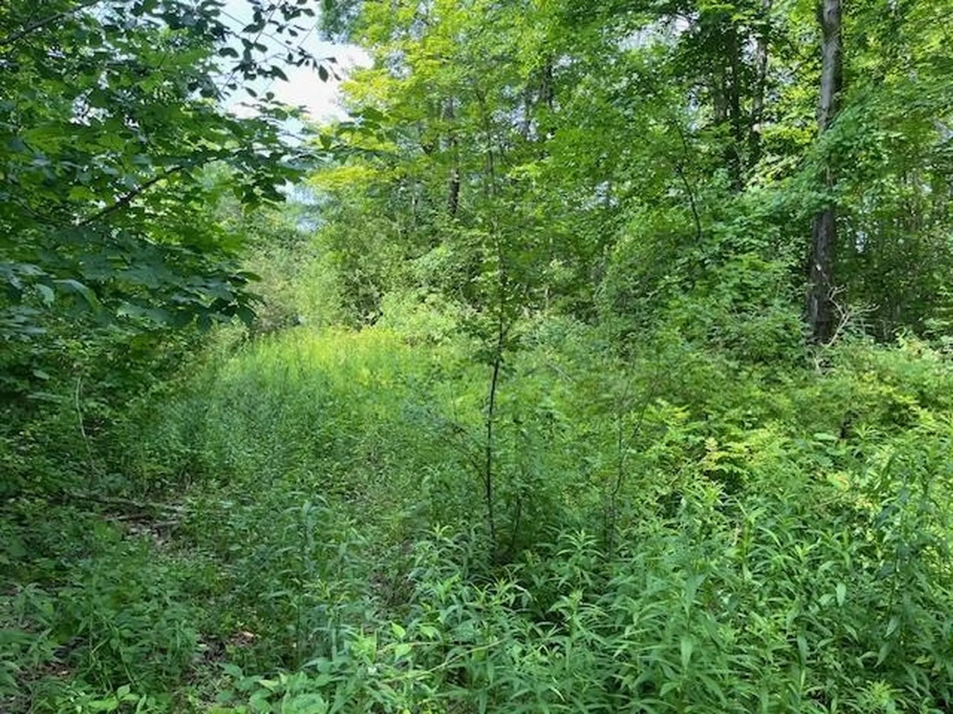 1431 Chapel Road Bennington VT 05201