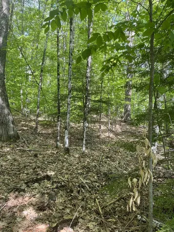 242.134 Holland Trail Thornton NH 03285