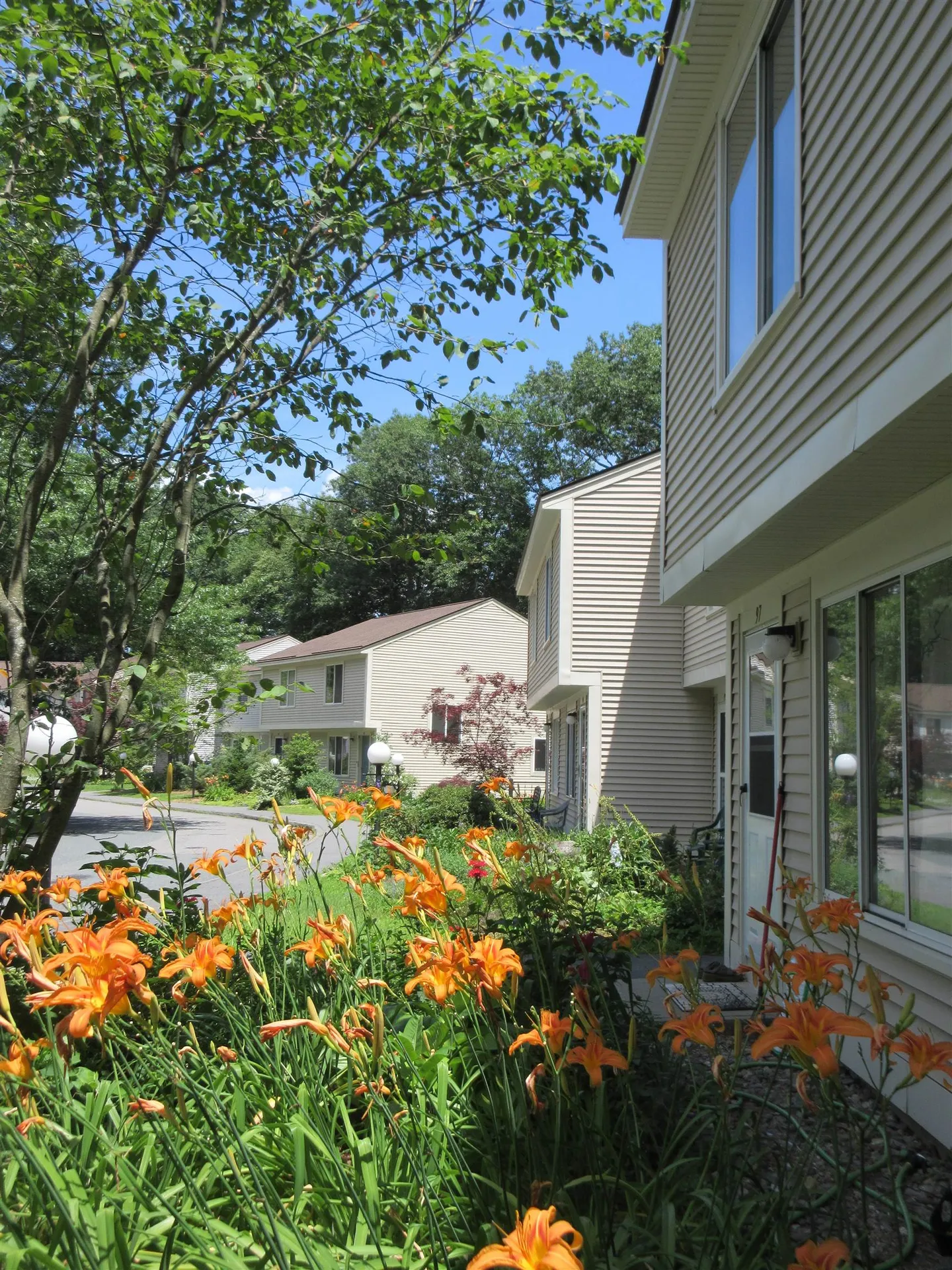 98 Morningside Commons Brattleboro VT 05301