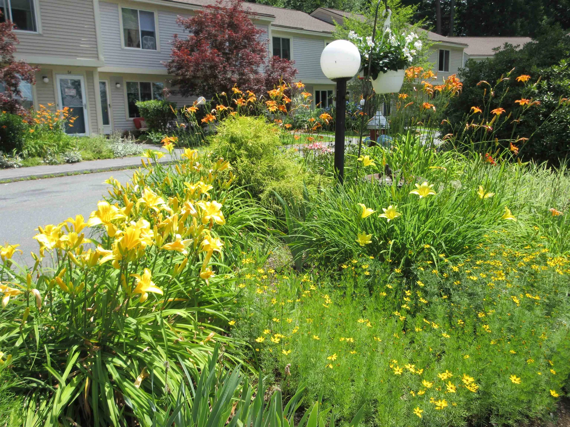 98 Morningside Commons Brattleboro VT 05301