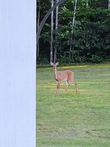 449 Suncook Valley Road Alton NH 03809