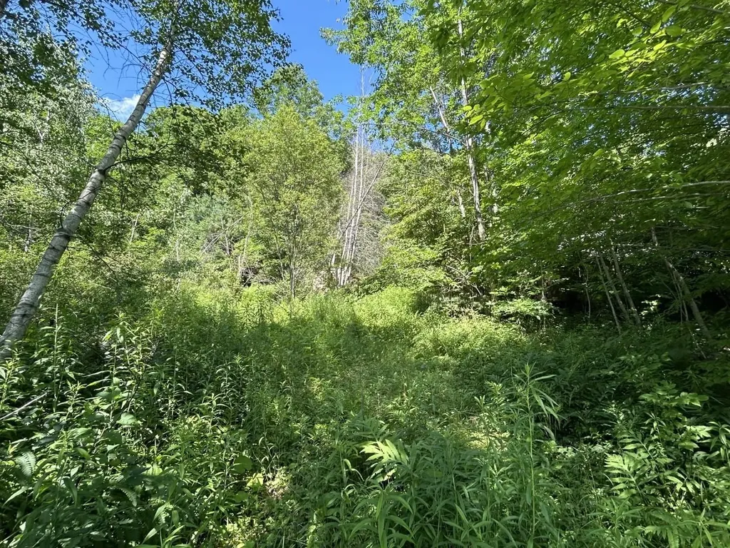 2871 Texas Hill Road Hinesburg VT 05461