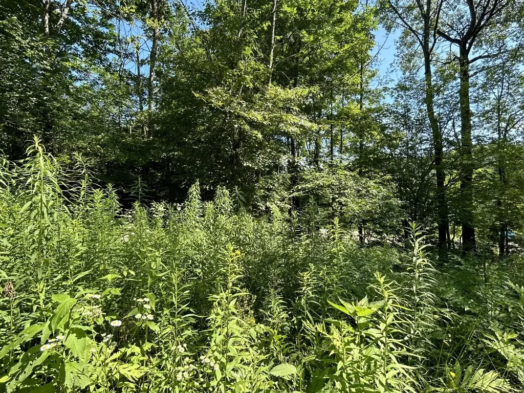 2871 Texas Hill Road Hinesburg VT 05461