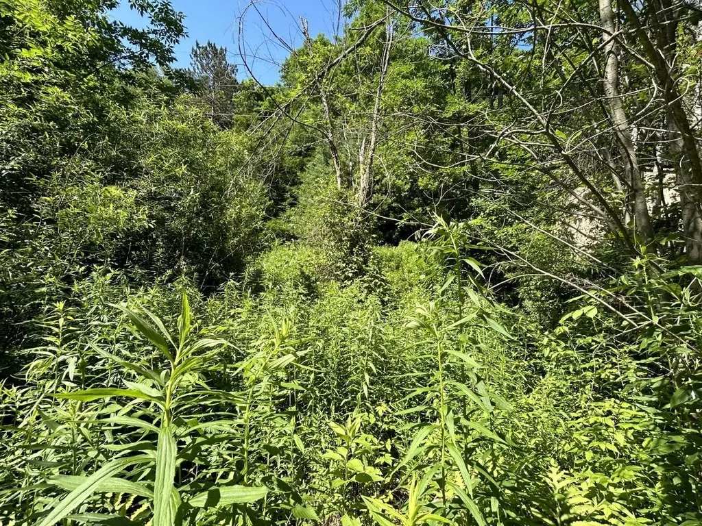 2871 Texas Hill Road Hinesburg VT 05461