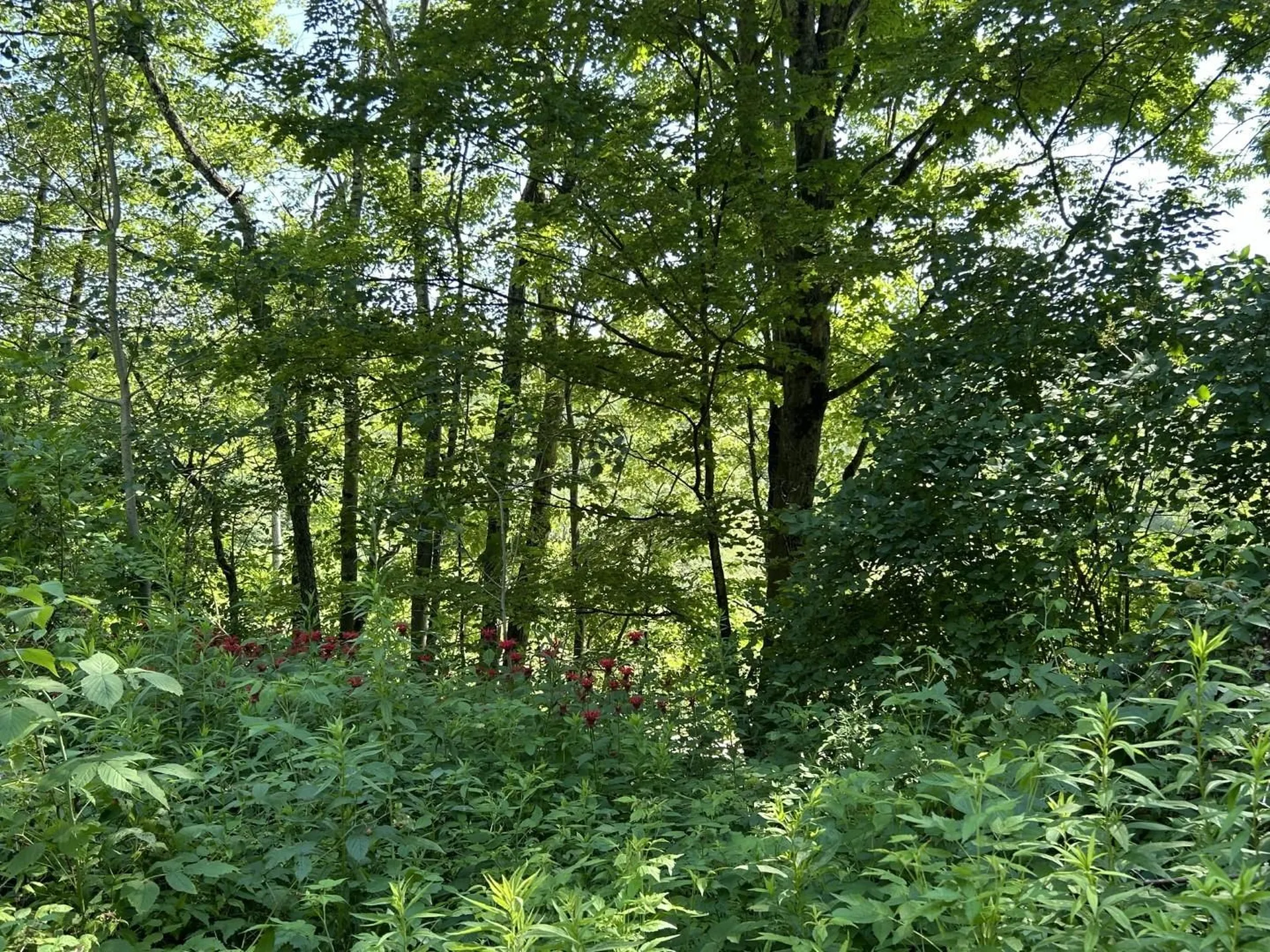 2871 Texas Hill Road Hinesburg VT 05461