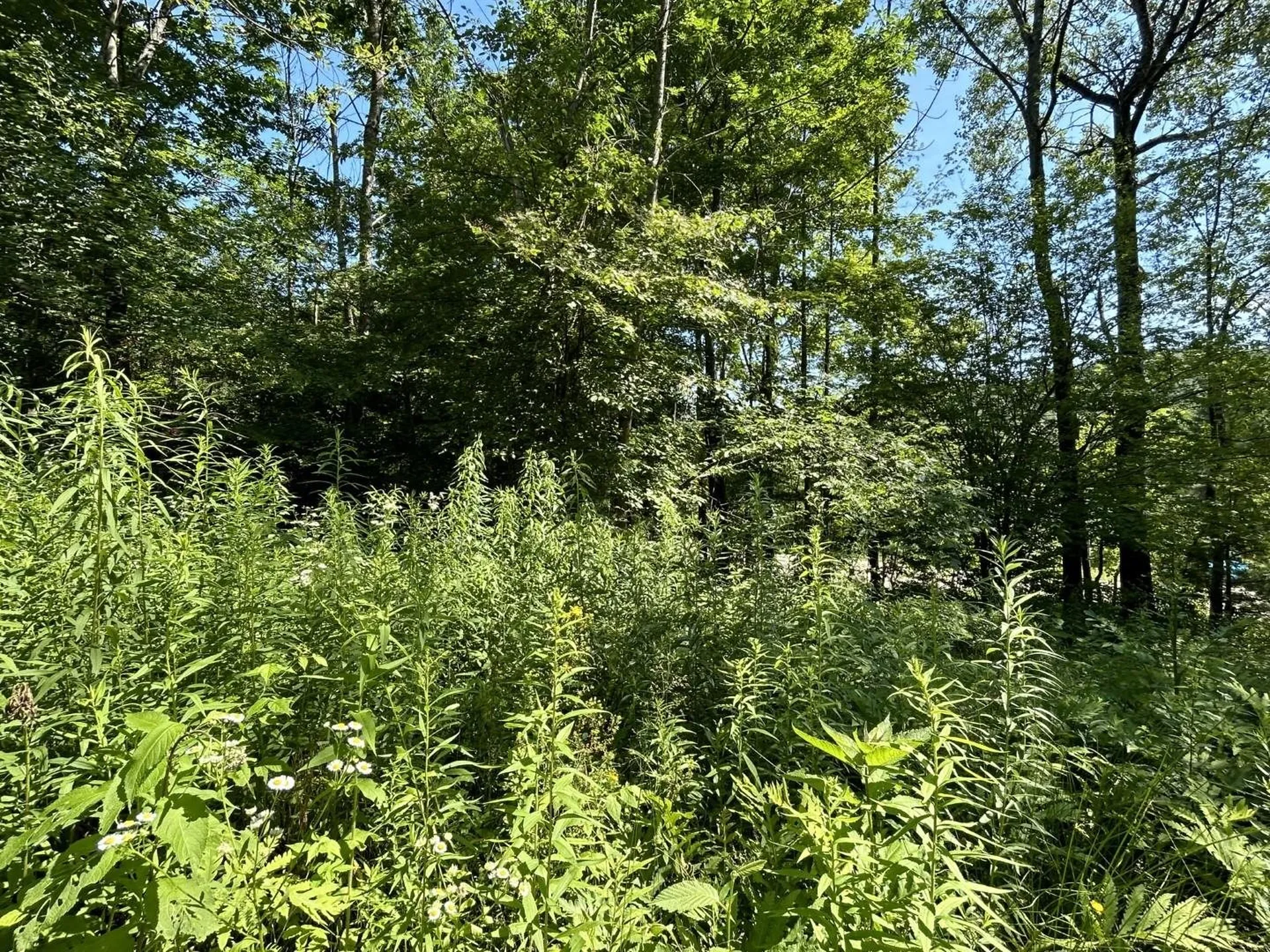 2871 Texas Hill Road Hinesburg VT 05461