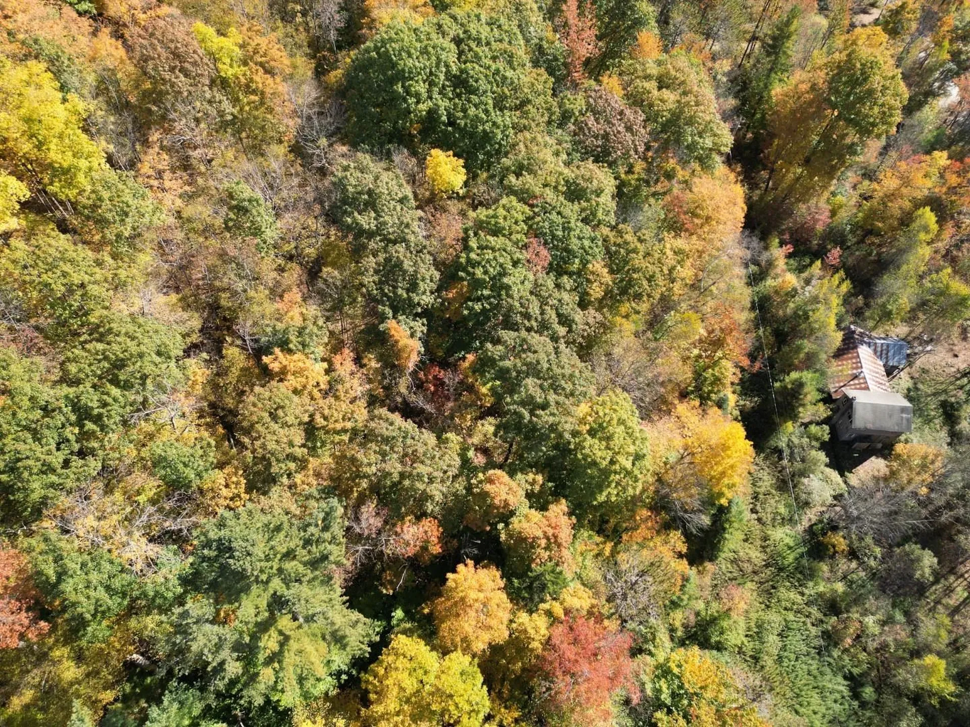 2871 Texas Hill Road Hinesburg VT 05461