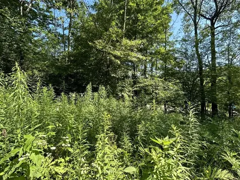 2871 Texas Hill Road Hinesburg VT 05461