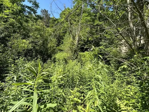 2871 Texas Hill Road Hinesburg VT 05461