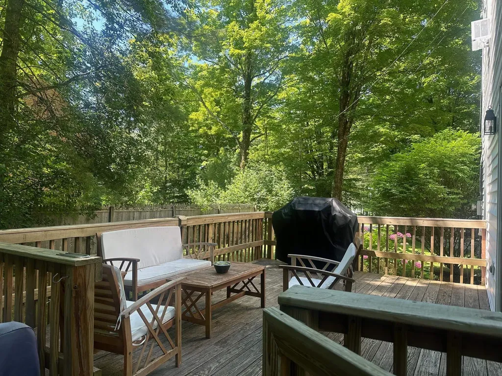 335 Carlen Street Manchester VT 05255