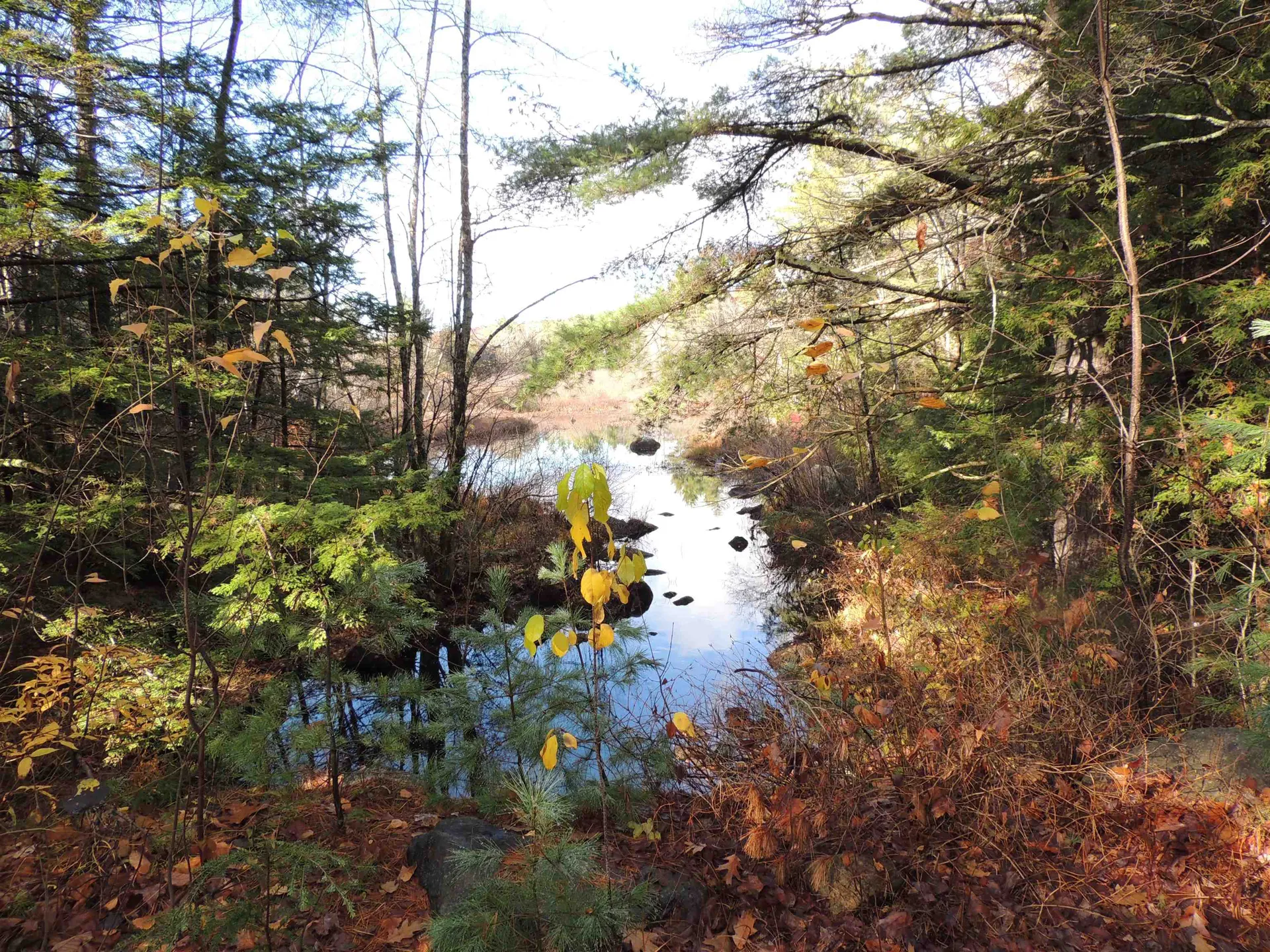 140 Chickville Road Ossipee NH 03864