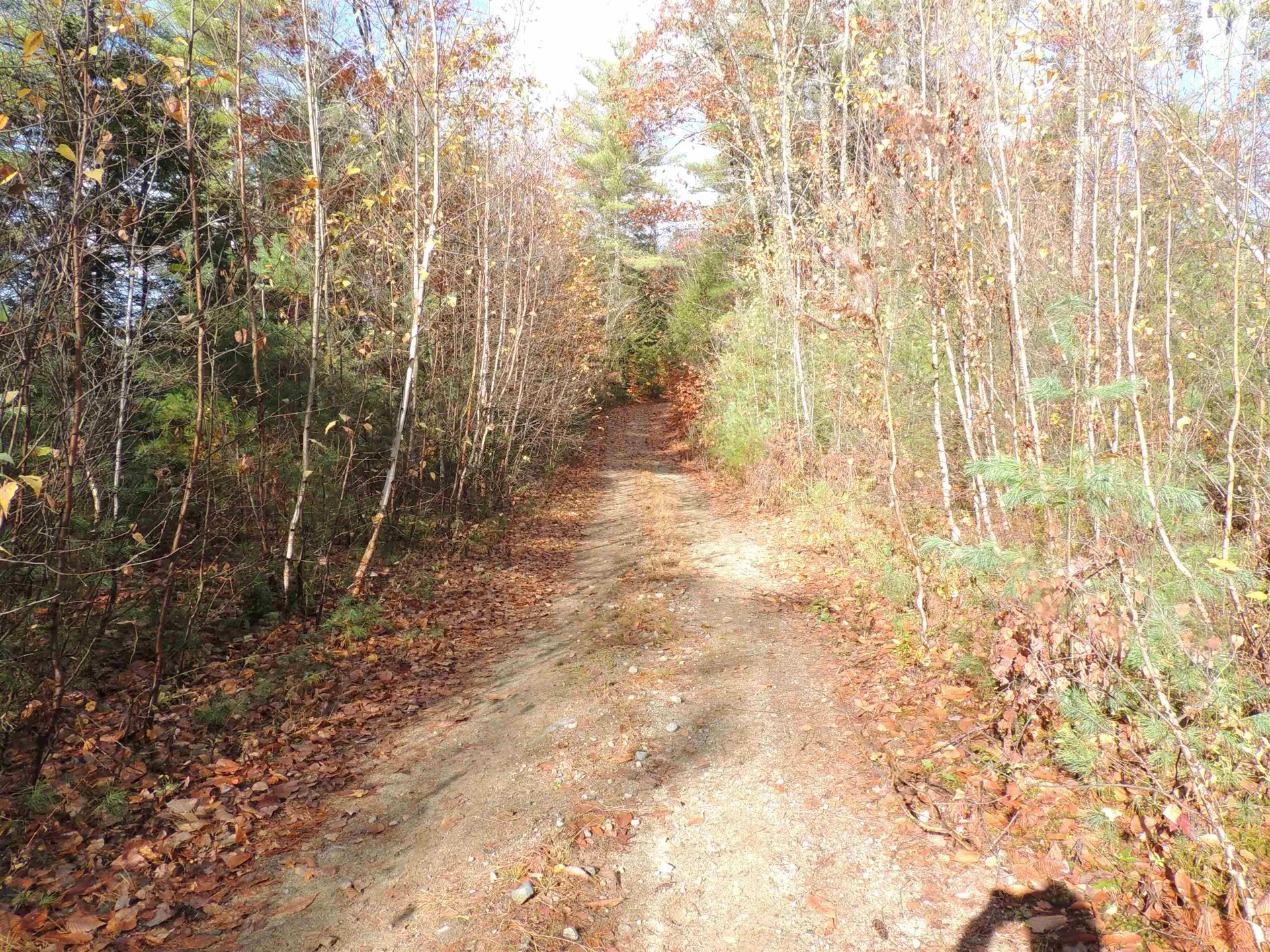 140 Chickville Road Ossipee NH 03864