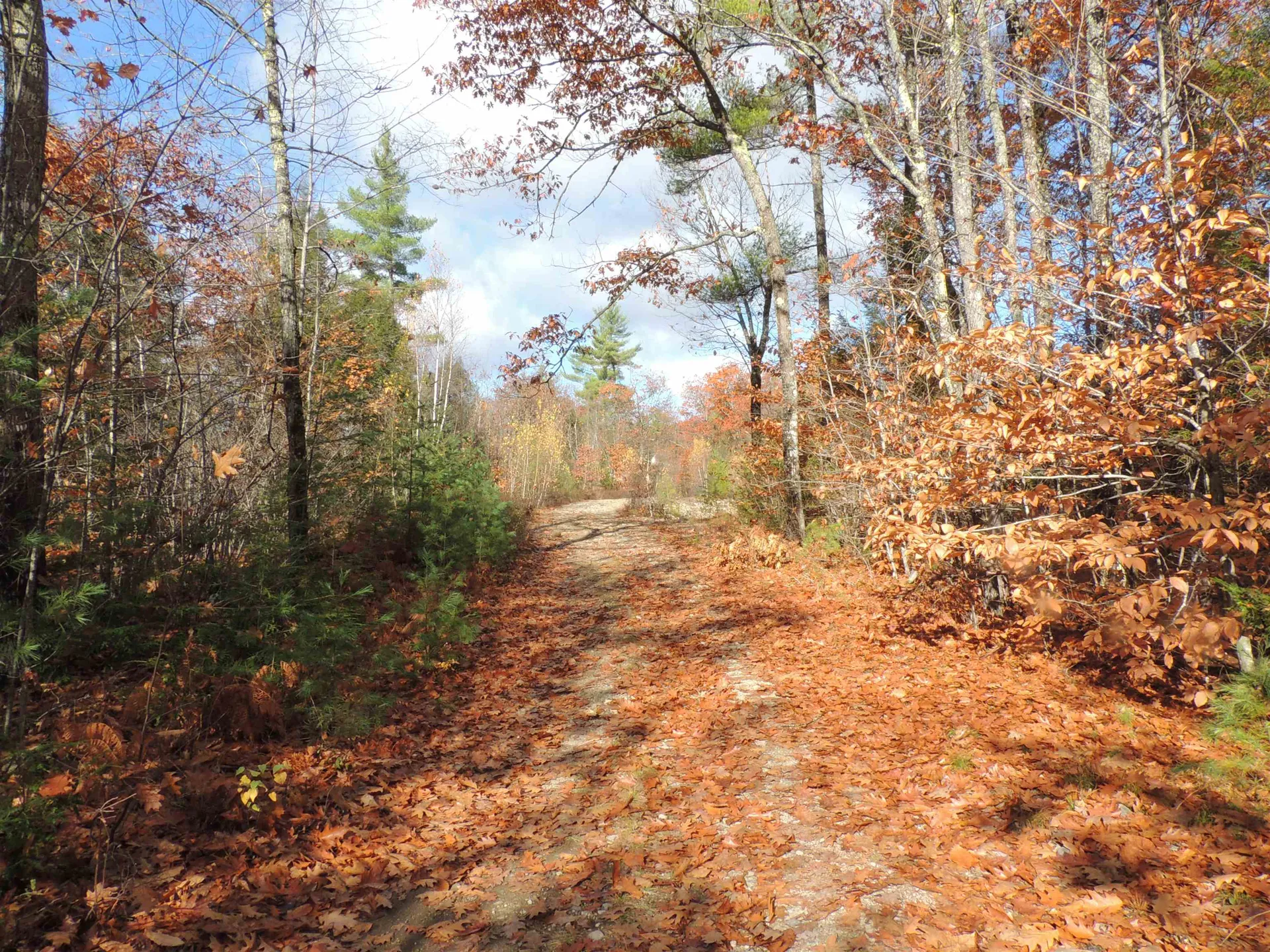 140 Chickville Road Ossipee NH 03864