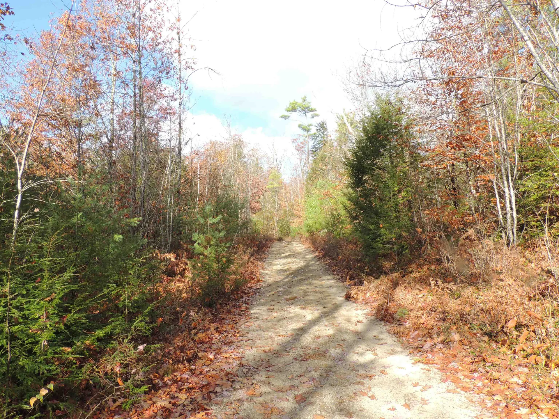 140 Chickville Road Ossipee NH 03864