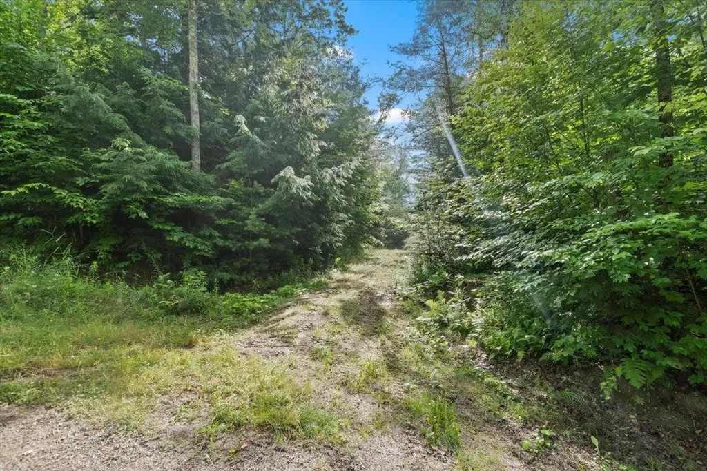 0 Mansfield Lane Londonderry VT 05148