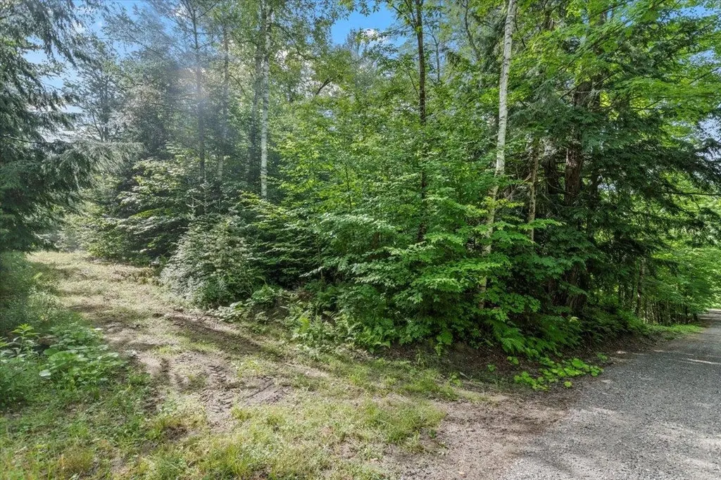 0 Mansfield Lane Londonderry VT 05148