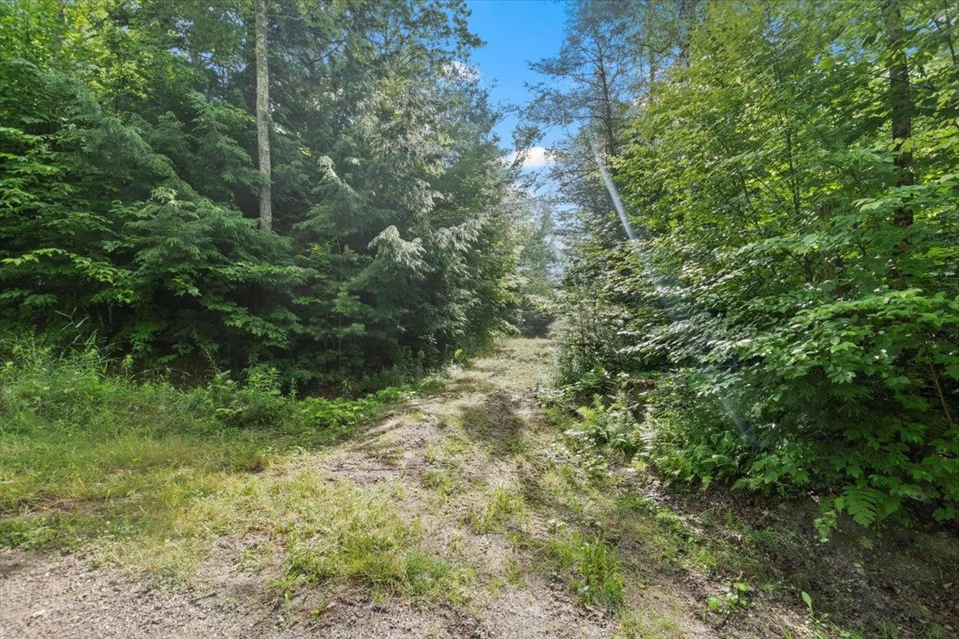 0 Mansfield Lane Londonderry VT 05148