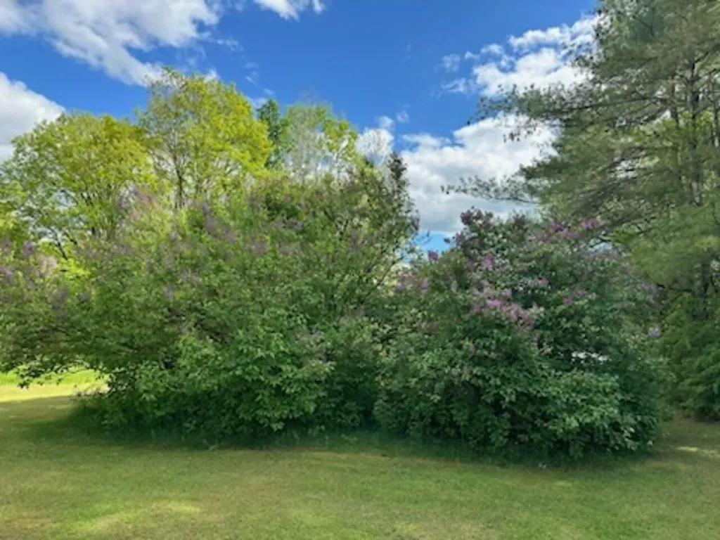 45 Rowland Road Fairfax VT 05454