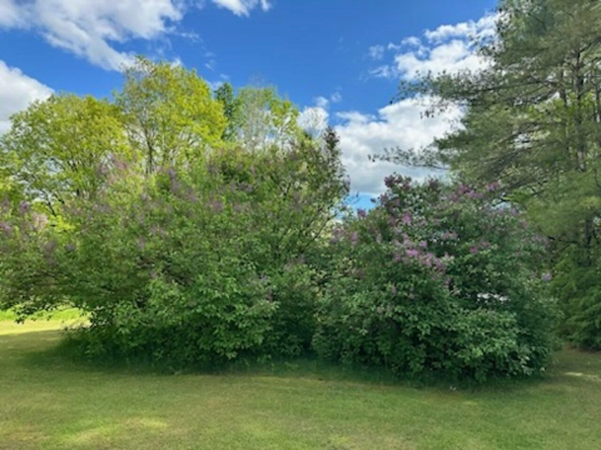45 Rowland Road Fairfax VT 05454