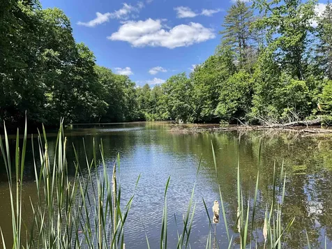 120 Lyme Road Hanover NH 03755