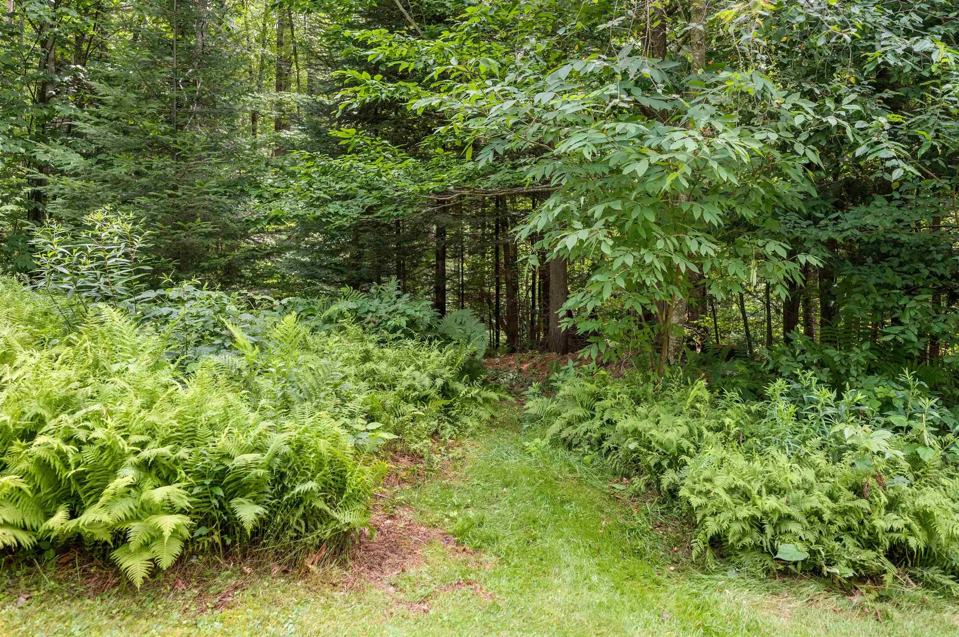 11 East Hill Road Middlesex VT 05602