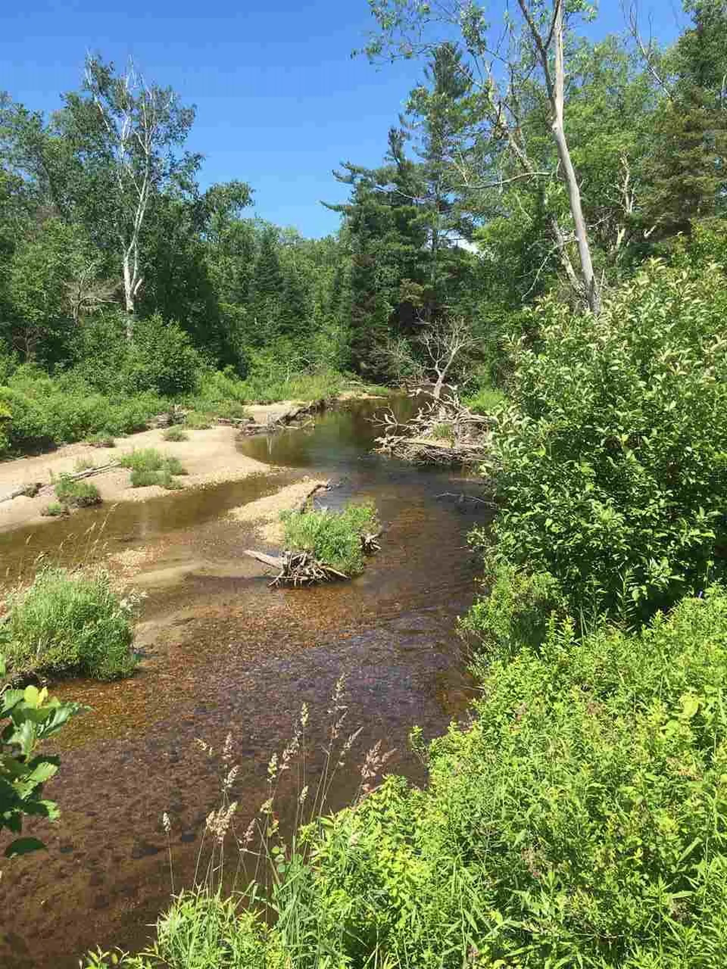 1170 Easton Road Franconia NH 03580