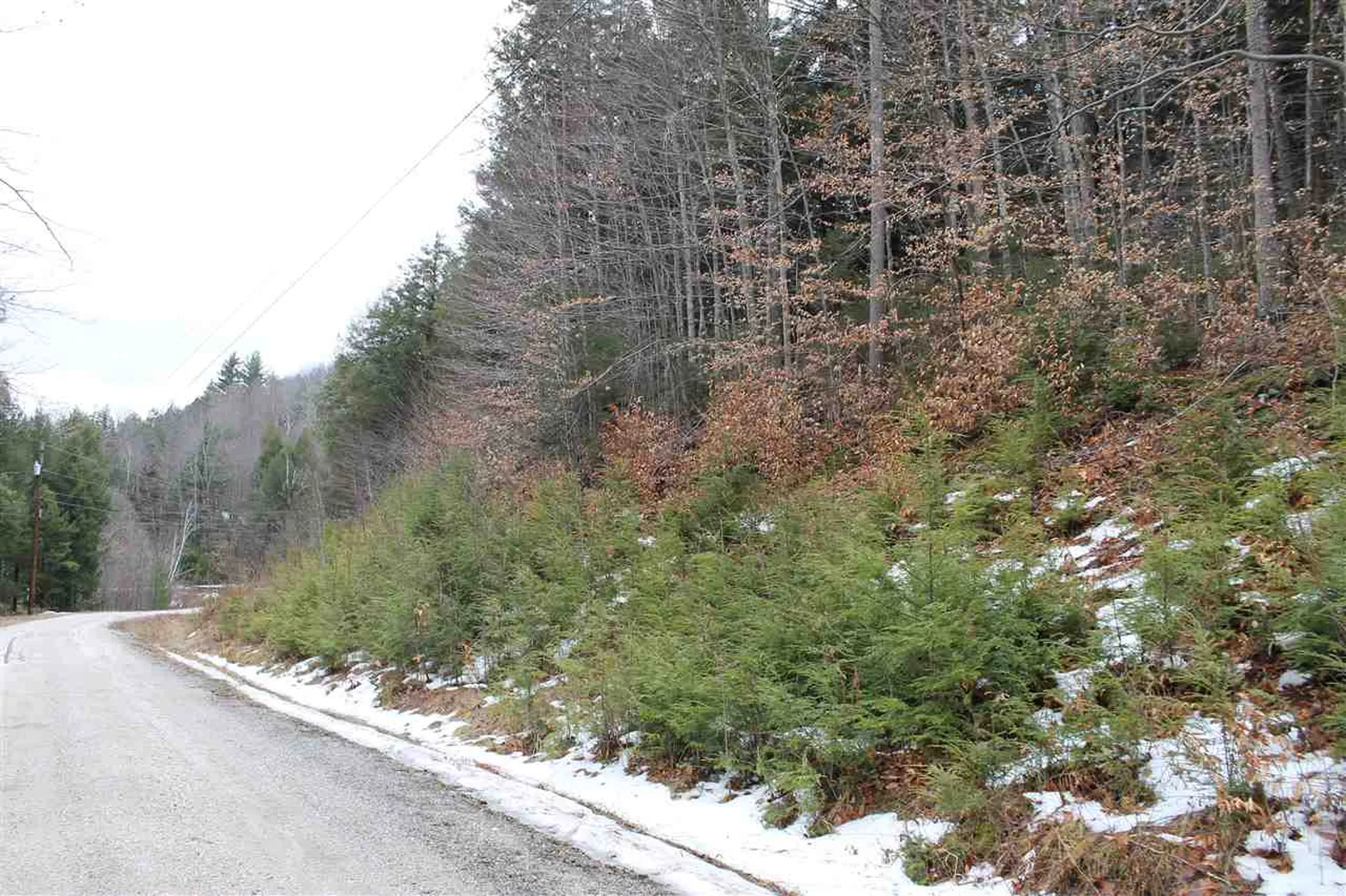 Lot 1-26 Madison Brook Lane Stockbridge VT 05772