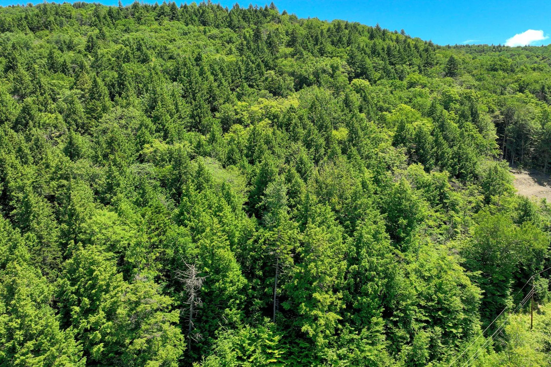 Lot 1-26 Madison Brook Lane Stockbridge VT 05772